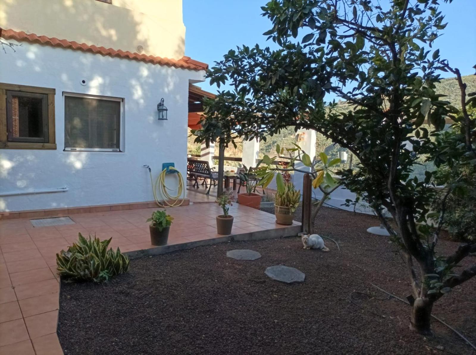 Apartment Brujitas, Valsequillo